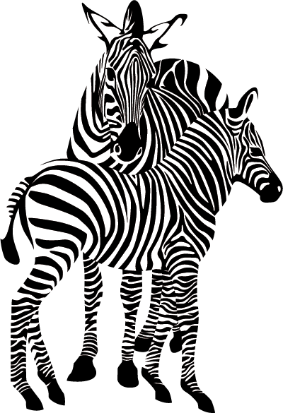 Zebra Png Image - Zebra Png (400x585), Png Download