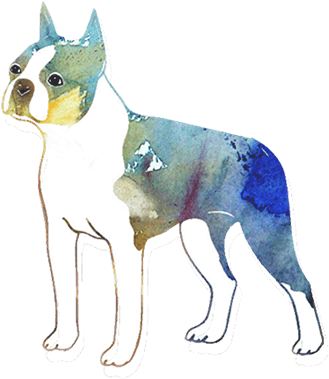 Pl - Dog (422x405), Png Download