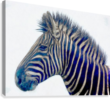 Zebra 2450 Canvas Print - Calvendo Zebras - Ungezähmte Kraft (wandkalender 2017 (429x386), Png Download