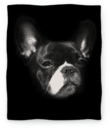 Boston Terrier Face - French Bulldog (484x484), Png Download