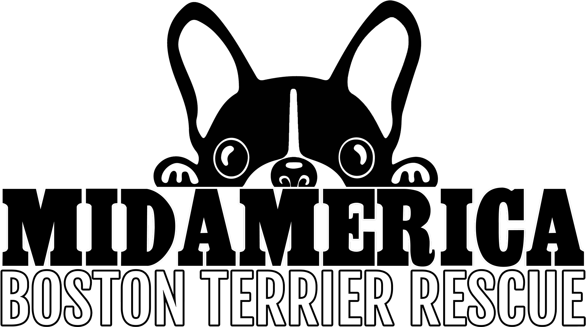 French Bulldog (2048x1164), Png Download