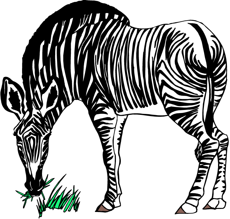Larger Clipart Zebra - Zebra Eating Grass Clipart (750x717), Png Download
