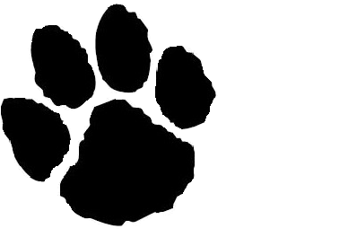 Free Animal Print Clip Art Wildcat Clipart Dog Print - Ashwaubenon Jaguars (500x300), Png Download