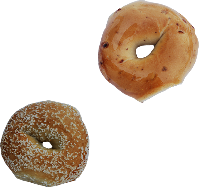 Gourmet Bagels, Baked From Scratch In Each Shop - Big Daddy Bagels (638x600), Png Download