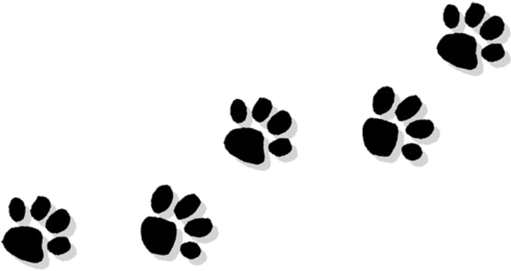 Cat Paw Bulldog Puppy Clip Art - You Are Always Remembered (770x513), Png Download