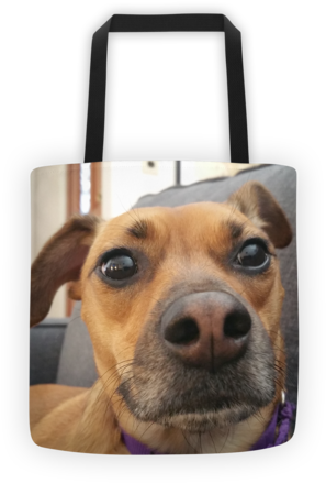 Print Your Pet To Help Save Another Print Your Dog - Cat (480x480), Png Download