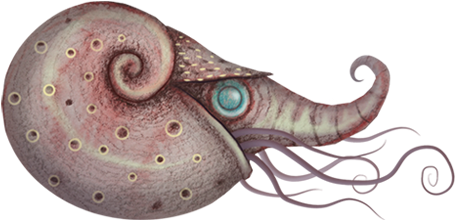 Indian Elephant (600x253), Png Download