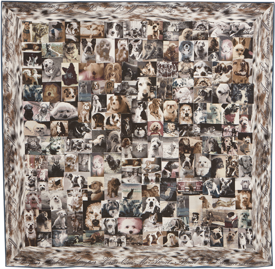 Dog Print Square - Visual Arts (802x679), Png Download