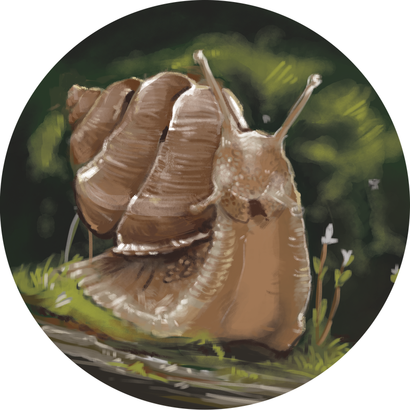 Framingham State University (800x800), Png Download