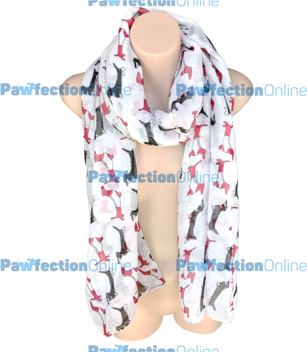 The Dachshund Sausage Dog Print Scarves Are Made From - Dachshund (1200x1200), Png Download
