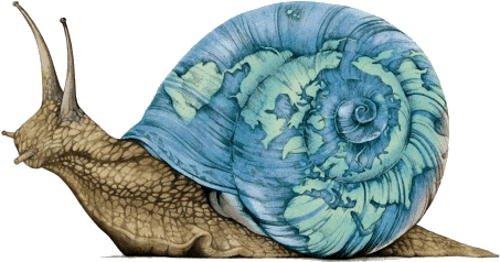 Biodiversity Summit Inches Forward Like A Snail While - Slow Movements (499x301), Png Download