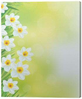 Vector Daffodil Flowers Frame - Daffodil (400x400), Png Download