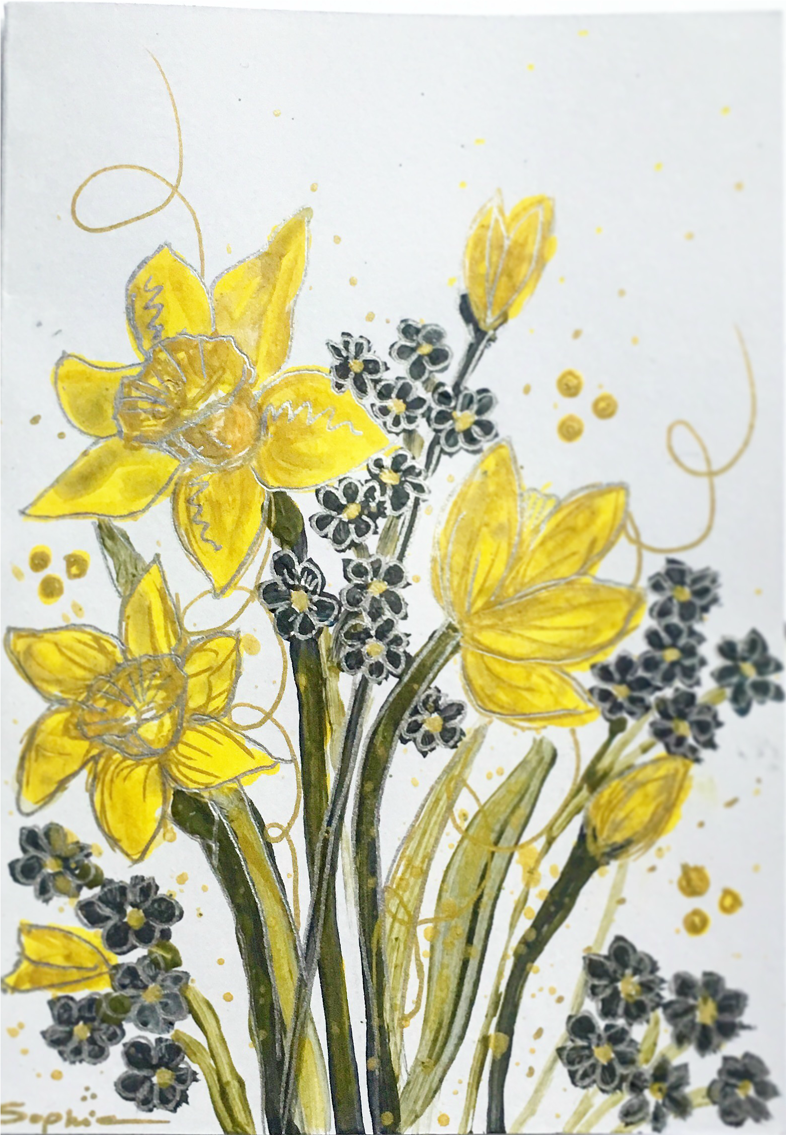 Daffodils - Narcissus (3024x3024), Png Download