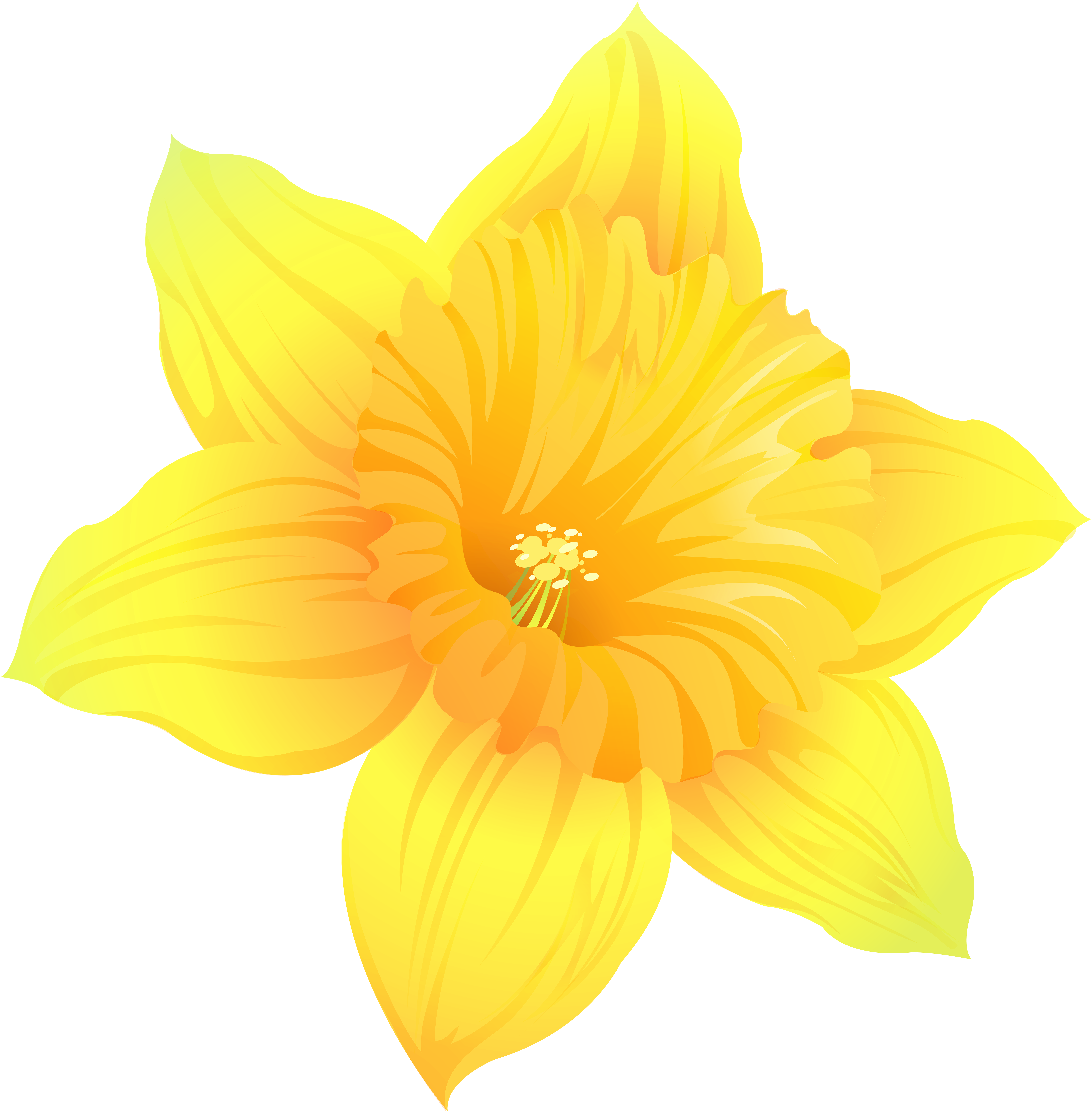 Daffodil Png (7854x8000), Png Download