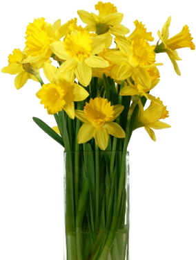 Daffodil Flower Png Photo - Yellow Flower Vase Png (400x400), Png Download