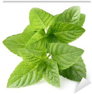 Mint (400x400), Png Download