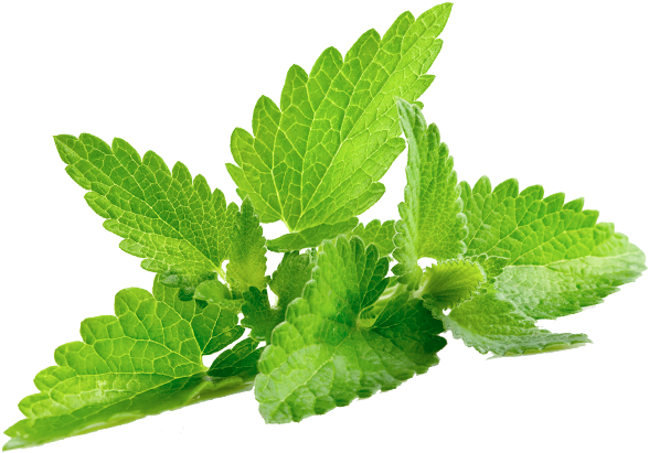 More Views - Im Going To Cornmit (600x600), Png Download