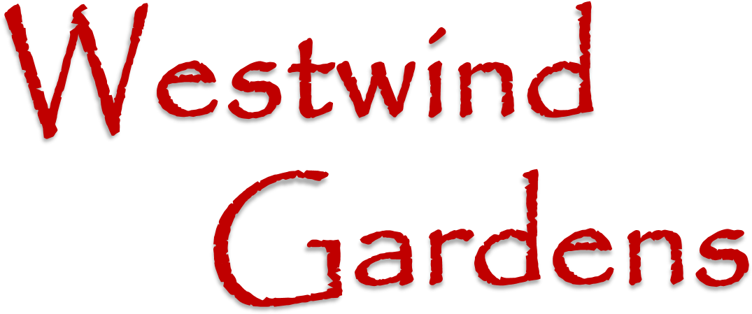 Westwind Gardens (1540x681), Png Download