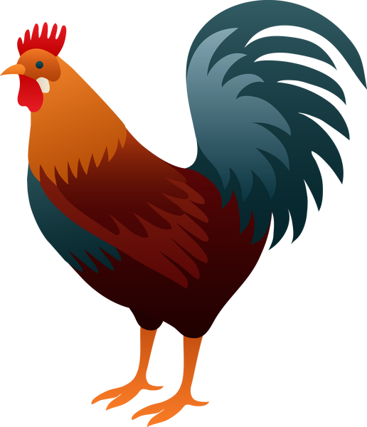 Rooster - Clip Art Rooster (516x600), Png Download