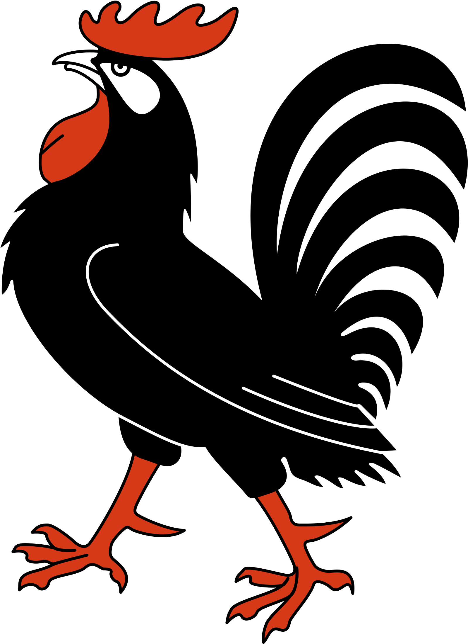 Cartoon Rooster - Gallo Clipart (438x602), Png Download