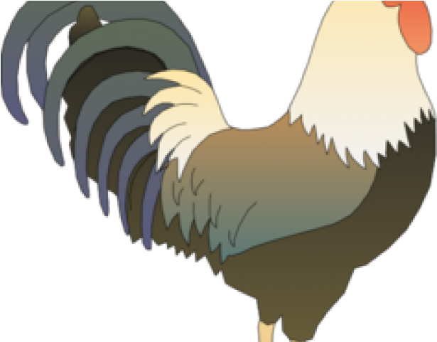 Clipart Rooster (640x480), Png Download
