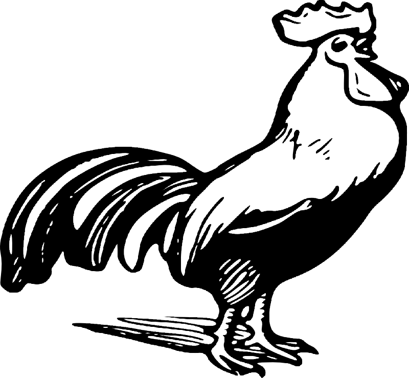 Gorgeous Black-ink Crying Rooster Tattoo Design - Rooster Clipart Black And White Png (800x739), Png Download