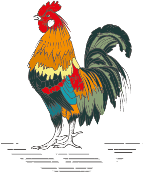 Rooster Icon 04 04 - Rooster Cafe Florence (417x418), Png Download