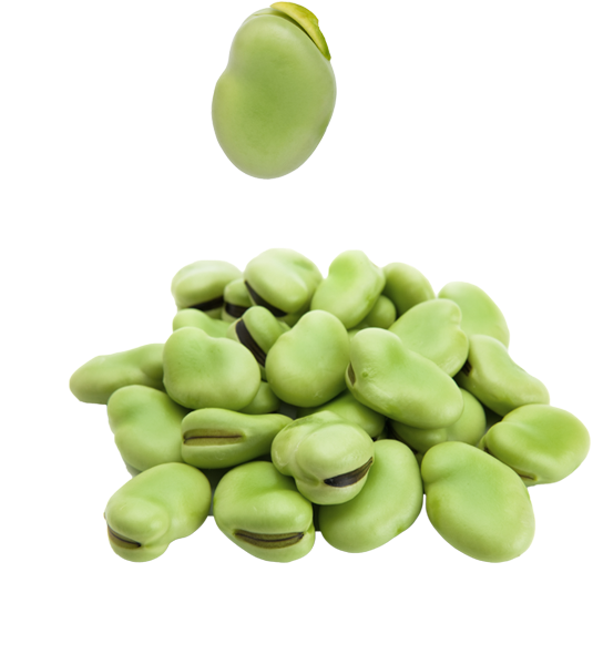 Broad Beans - Broad Beans Png (896x921), Png Download