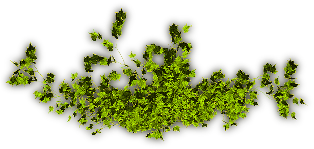 24 Mar 2009 - Tree (621x307), Png Download