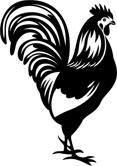 Rooster (388x546), Png Download