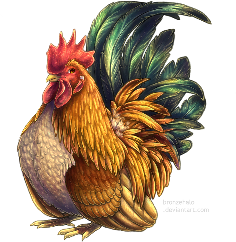 Drawing Roosters Fowl - Bantam Chicken Png (800x800), Png Download