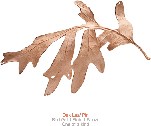 Oak (1000x700), Png Download