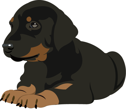 Doberman - Doberman Puppy Clipart (535x465), Png Download