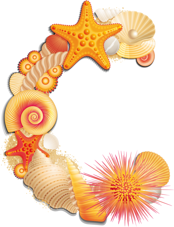 Beach Letter C - Seashell B Scrapbook Alphabet Png (717x800), Png Download