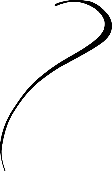 Black Vector Lines - Curvy Line Png (390x596), Png Download