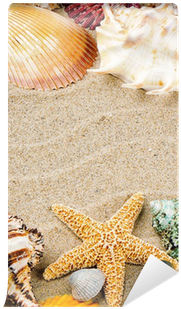 Marine Frame With Colorful Sea Shells Wall Mural • - Cornice Marina (400x400), Png Download
