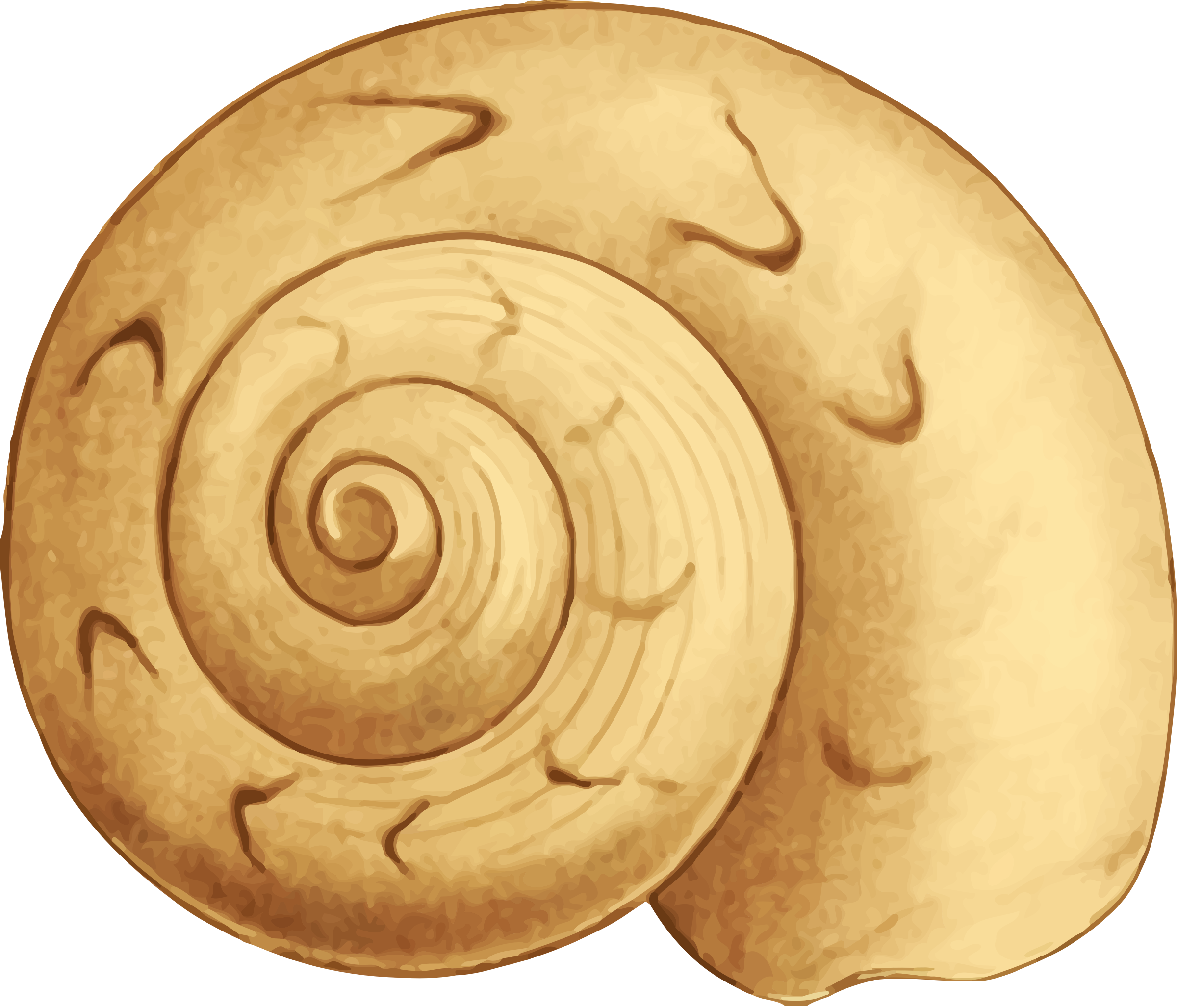 This Free Icons Png Design Of Sea Shell 35 (2400x2052), Png Download