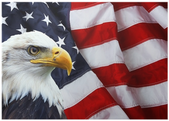 North American Bald Eagle On American Flag Poster • - American Flag Badass (400x400), Png Download