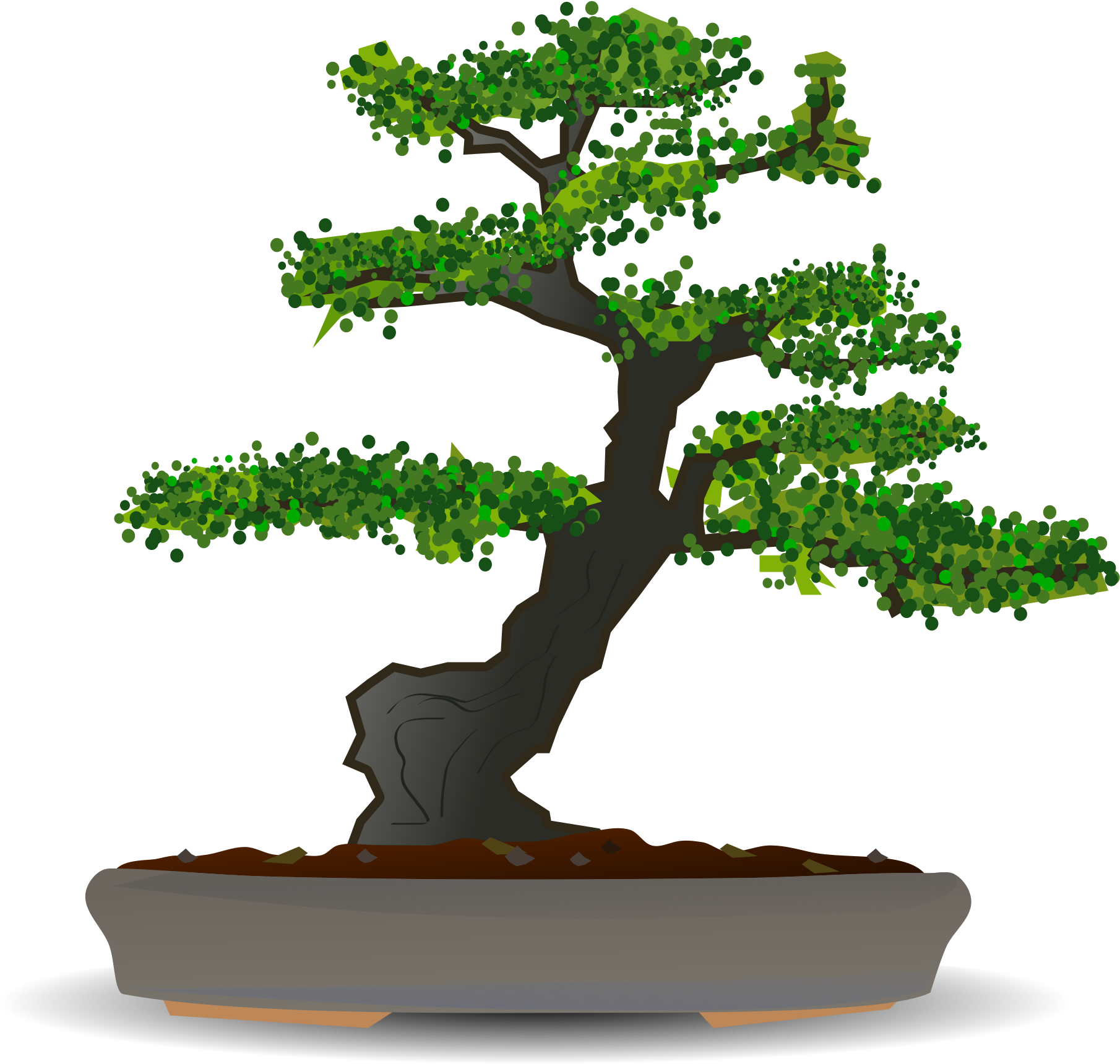 Bonsai Png (2400x1945), Png Download