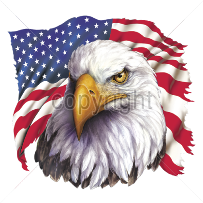 X With Flag America Plastisol Transfer - American Eagle Flag Png (420x420), Png Download