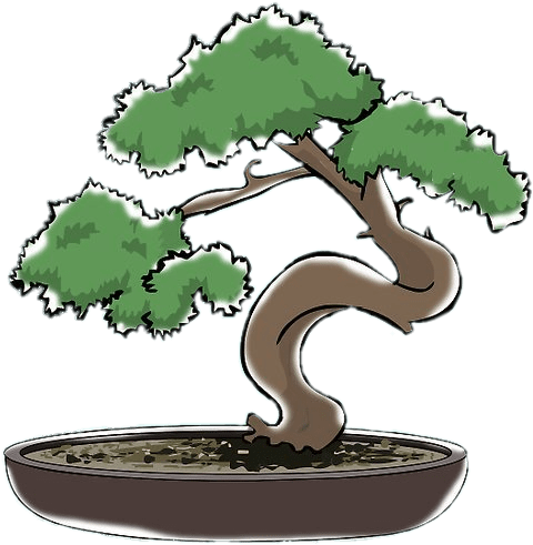 Bonsai Clipart - Bonsai Dibujo (728x546), Png Download