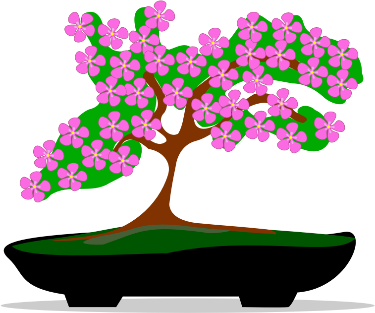 Clipart - Bonsai-01 - Bonsai (800x800), Png Download