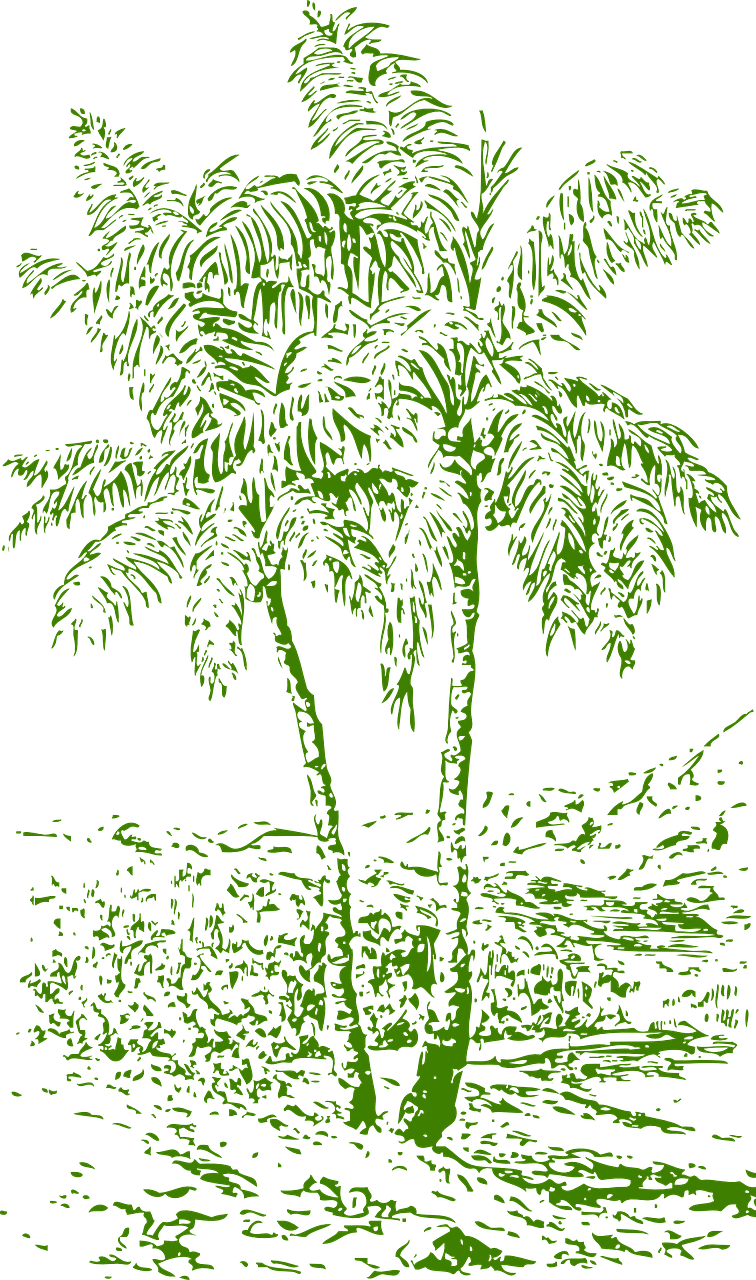 Island, Palms Trees Tropics Island Hawaii Scenic C - 3drose Llc 3drose Lsp_174619_1 Image Of Palm Cover (756x1280), Png Download