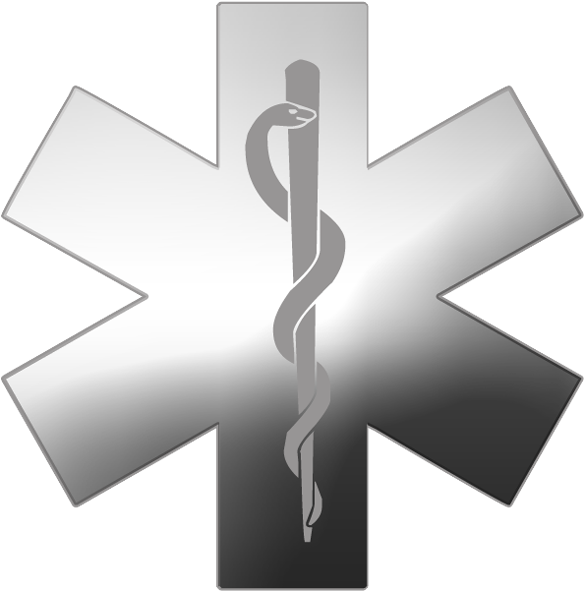 Star Of Life Transparent Png Pictures - Star Of Life Grey (600x600), Png Download