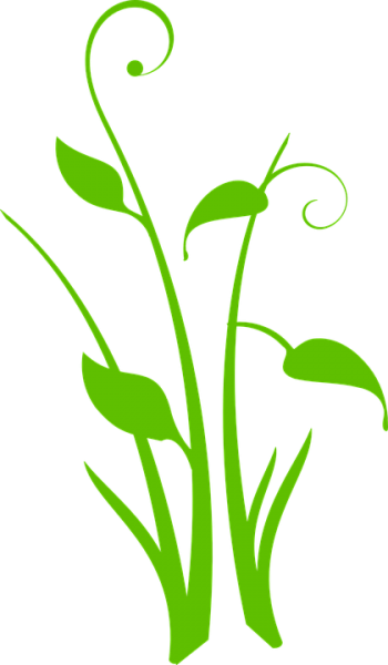 Flower Silhouette Clipart Png (350x600), Png Download