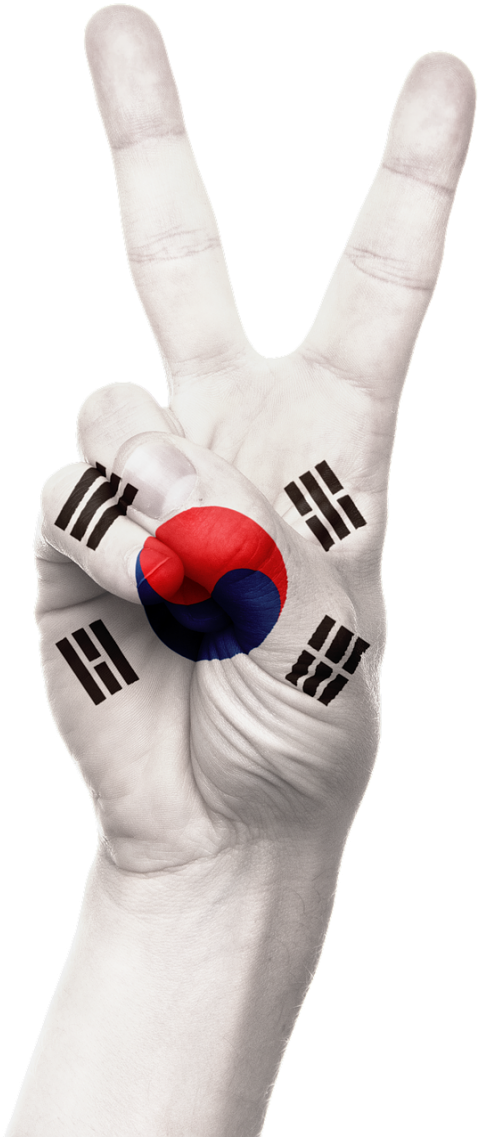Hand,south - South Korea Flag (500x1140), Png Download