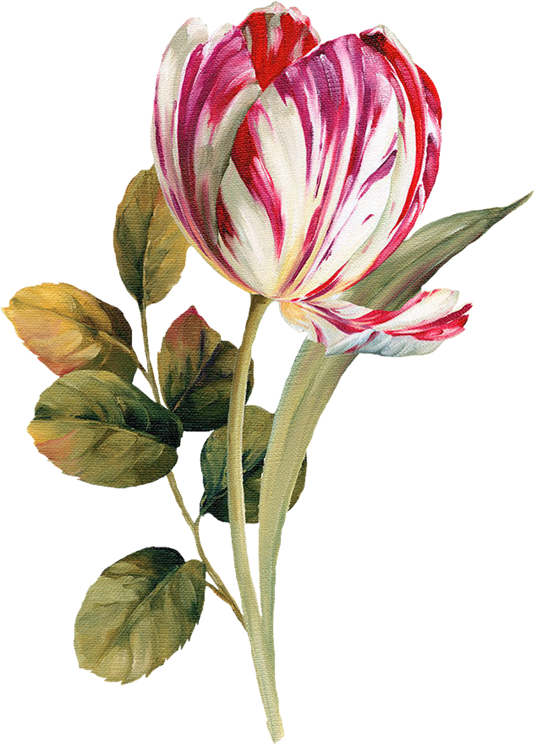 Pattern Flower, Flower Silhouette, Botanical Flowers, - Oil Painting Flower Png (1162x1600), Png Download