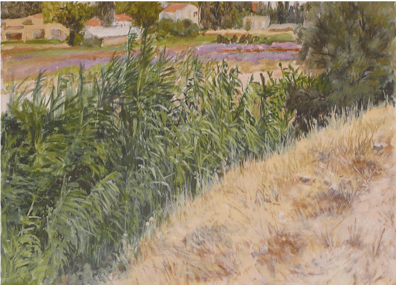 Ayelet Tikotzky Rectangular Placemat No - Grass (800x800), Png Download