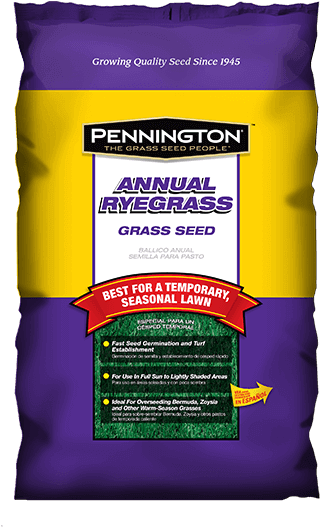 Pennington Annual Ryegrass Grass Seed, 20 Lbs (600x600), Png Download