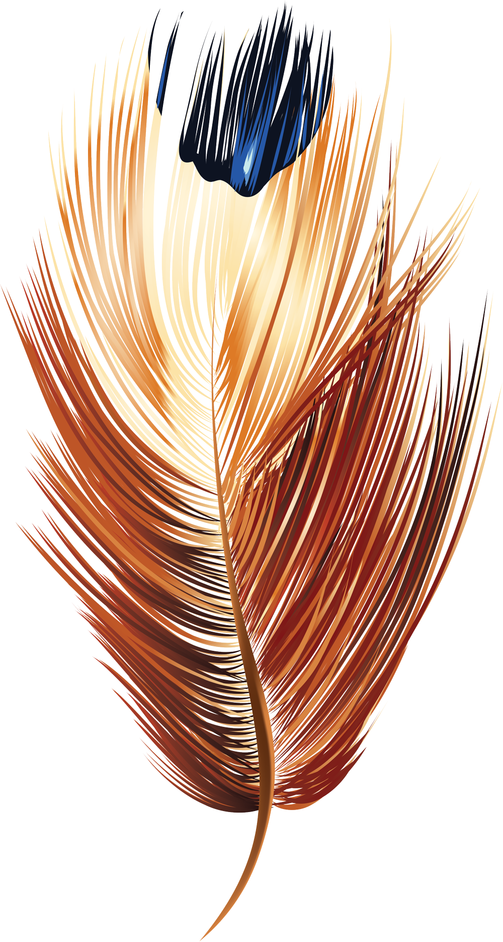 Feather Vector 5 - Orange Feather Vector Png (1000x1870), Png Download